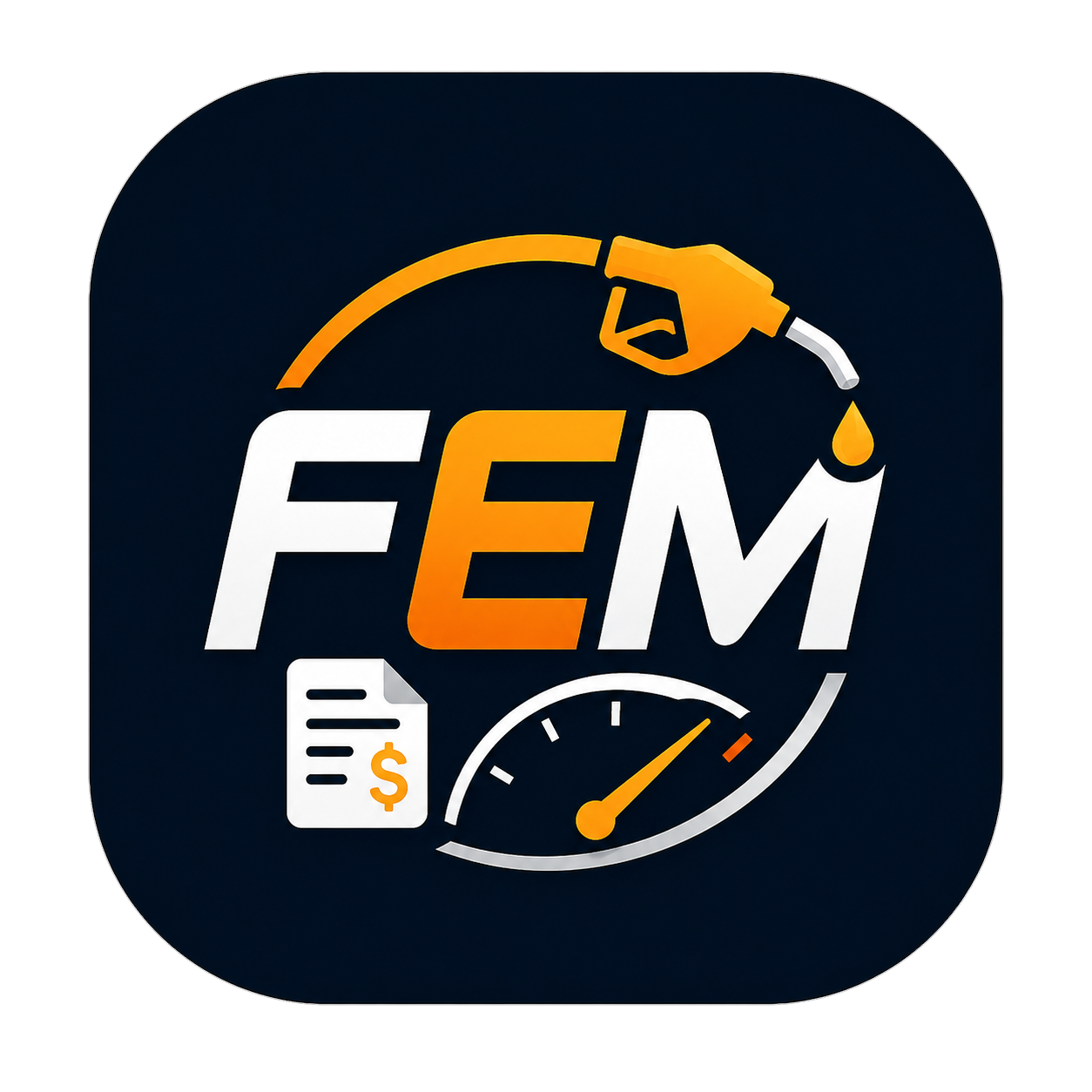 Logo FEM Driver